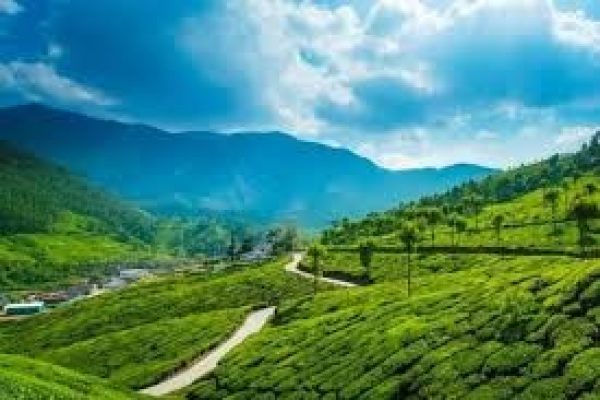 Kebun Teh Alahan Panjang