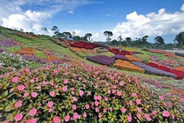 Puncak Tonang