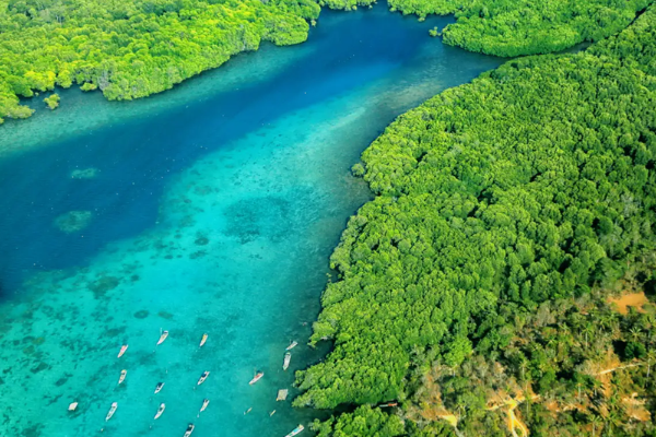 Taman Nasional Siberut
